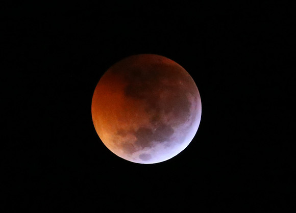 Super Blood Wolf Moon Eclipse - Martinique, Lesser Antilles