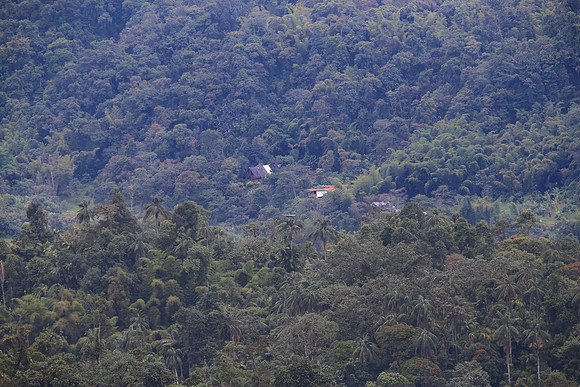 Las Terrazas De Dana - Mindo, Ecuador